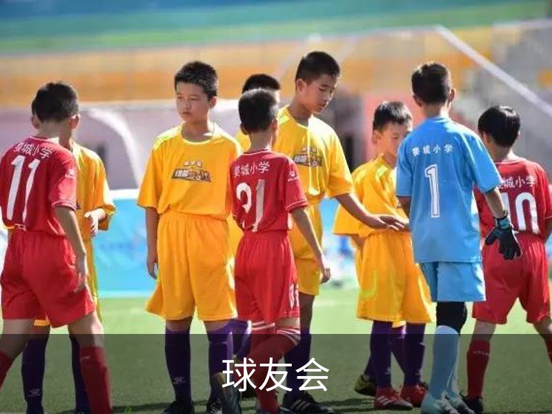 球友会· (中国)官方网站